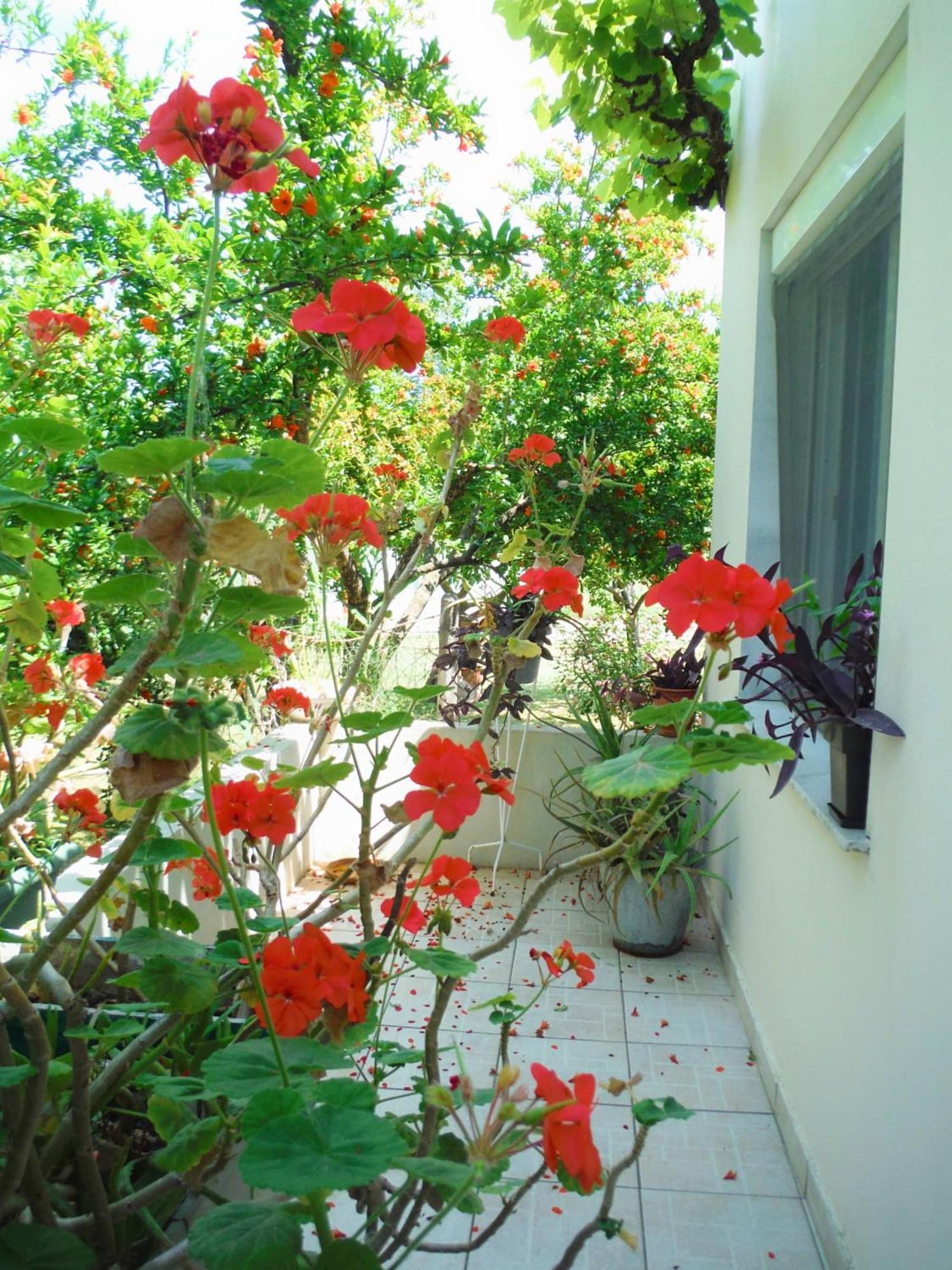 Port Rooms Limenas  Exterior photo