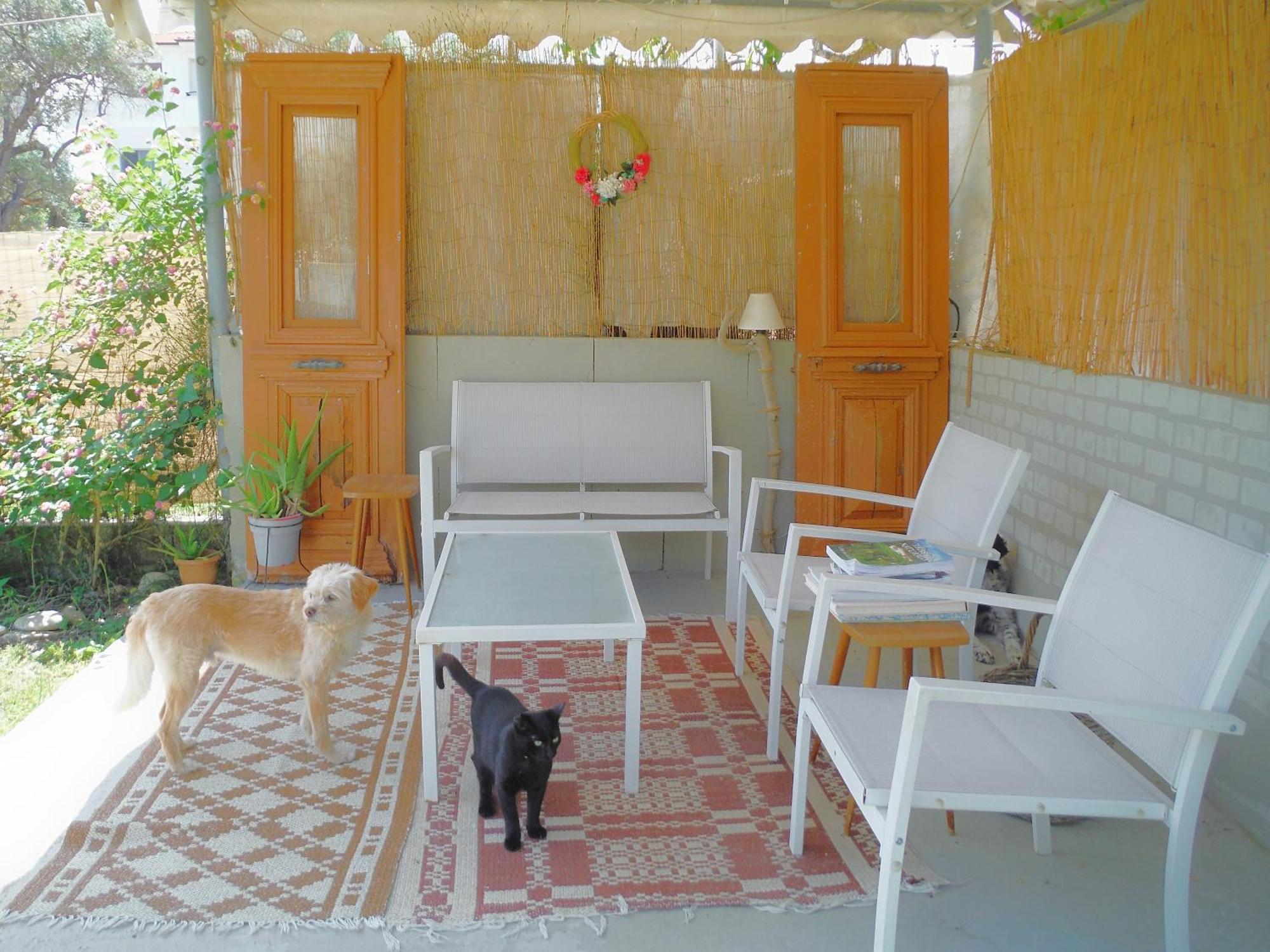 Port Rooms Limenas  Exterior photo